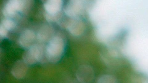 Trump no quiere votos por correo extendidos.