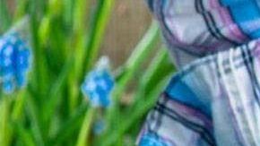 kit de palas de jardineria