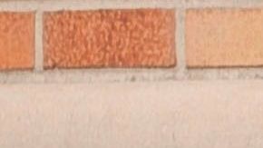 Muchas personas han renunciado a la asistencia sanitaria por miedo a la norma.