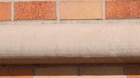 Muchas personas han renunciado a la asistencia sanitaria por miedo a la norma.