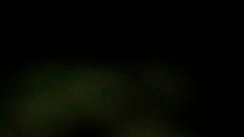 Trump estableció un símil entre el coronavirus y los incendios.