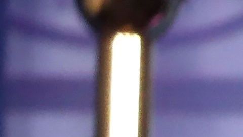 Dr. Anthony Fauci, director del Instituto Nacional de Alergias y Enfermedades Infecciosas.