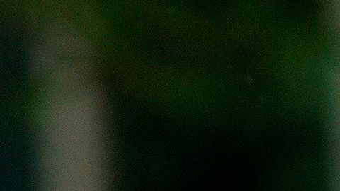 Mike Pence dio negativo por coronavirus este domingo.