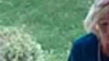 Sospechosa de robar paquetes, vestida comos si fuera enfermera.