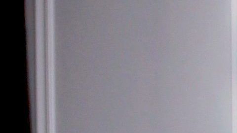 Adamari López y su amado Toni Costa.