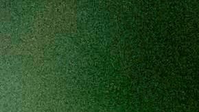 Los investigadores han descartado desde el principio que el virus se transmita sexualmente.