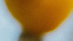 Aguacates-Lisa Fotios en Pexels