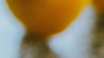 Aguacates-Lisa Fotios en Pexels