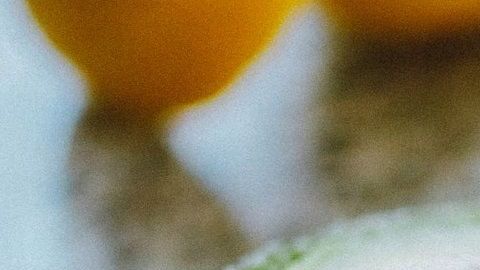 Aguacates-Lisa Fotios en Pexels