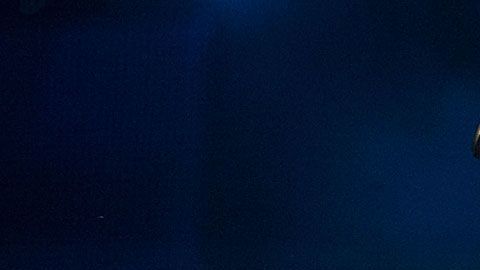 Alejandro Fernández