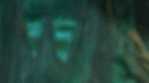 Caimán en zoológico de Moscú.