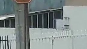 La mujer recibió muestras de afecto.