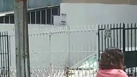 La mujer recibió muestras de afecto.