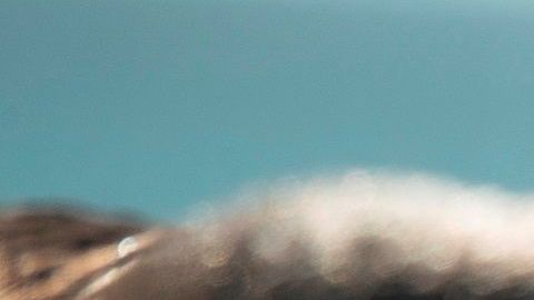 El presidente de Brasil, Jair Bolsonaro.