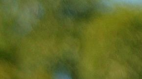 AME3374. BRASILIA (BRASIL), 31/05/2020.- El presidente de Brasil, Jair Bolsonaro, saluda a simpatizantes este domingo sobre un caballo, en Brasilia (Brasil). El presidente brasileño, Jair Bolsonaro, volvió a ignorar este domingo la gravedad de la COVID-19, que deja ya casi 30.000 muertes en el país, y asistió a una manifestación en la que hasta se paseó montado a caballo ante miles de personas. El acto se desarrolló a las puertas del Palacio presidencial de Planalto, y como ha ocurrido en manifestaciones que el "bolsonarismo" celebró los últimos domingos, hubo protestas contra el Congreso y la Corte Suprema, que según los partidarios del líder de la ultraderecha "conspiran" contra el Gobierno. EFE/ Joédson Alves