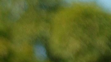 AME3374. BRASILIA (BRASIL), 31/05/2020.- El presidente de Brasil, Jair Bolsonaro, saluda a simpatizantes este domingo sobre un caballo, en Brasilia (Brasil). El presidente brasileño, Jair Bolsonaro, volvió a ignorar este domingo la gravedad de la COVID-19, que deja ya casi 30.000 muertes en el país, y asistió a una manifestación en la que hasta se paseó montado a caballo ante miles de personas. El acto se desarrolló a las puertas del Palacio presidencial de Planalto, y como ha ocurrido en manifestaciones que el "bolsonarismo" celebró los últimos domingos, hubo protestas contra el Congreso y la Corte Suprema, que según los partidarios del líder de la ultraderecha "conspiran" contra el Gobierno. EFE/ Joédson Alves