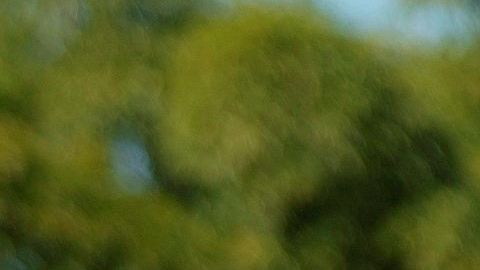 AME3374. BRASILIA (BRASIL), 31/05/2020.- El presidente de Brasil, Jair Bolsonaro, saluda a simpatizantes este domingo sobre un caballo, en Brasilia (Brasil). El presidente brasileño, Jair Bolsonaro, volvió a ignorar este domingo la gravedad de la COVID-19, que deja ya casi 30.000 muertes en el país, y asistió a una manifestación en la que hasta se paseó montado a caballo ante miles de personas. El acto se desarrolló a las puertas del Palacio presidencial de Planalto, y como ha ocurrido en manifestaciones que el "bolsonarismo" celebró los últimos domingos, hubo protestas contra el Congreso y la Corte Suprema, que según los partidarios del líder de la ultraderecha "conspiran" contra el Gobierno. EFE/ Joédson Alves