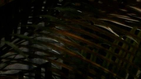 Miembros del ejército brasileño desinfectan una unidad médica en Río de Janeiro.