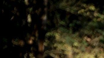 Uno de los sepultureros de Vila Formosa, el mayor cementerio de América Latina.