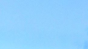 Carmen Villalobos vive la cuarentena acompañada de su pareja y mascotas.