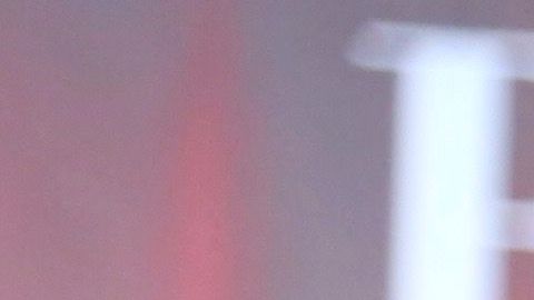 Chiquis Rivera y Lorenzo Méndez sufrieron hace meses la pérdida de su mascota Dallas Méndez.