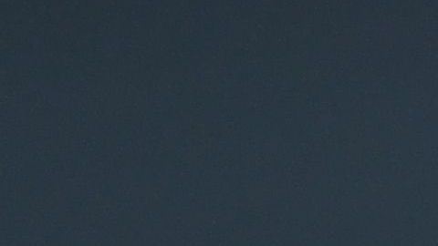 Chris Evans ama a su perro, pero el corte de pelo no le salió.