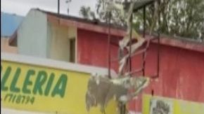 Cártel del Noreste ataca a policías y cómplices bloquean calles para que escapen