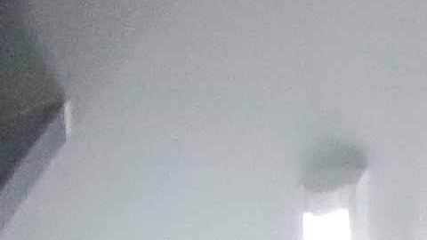 Médicos realizan este miércoles la prueba de un prototipo de ventilador mecánico portátil en un cerdo, el dispositivo que hasta el momento ha dado resultados positivos luego de una serie de validaciones y protocolos podría ser usado en pacientes COVID-19, en San José, Costa Rica.