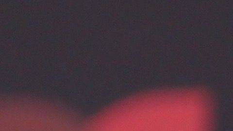 David Zepeda piensa que parte de la felicidad consiste en tener animales de compañía.