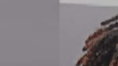 Daniel Weisberger tiene 17 años y está acusado de matar a su hermano y apuñalar a su padre.