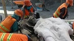 Son entre 60 y 70 restos de mamuts.