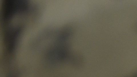 MEXICO-VIOLENCE-DRUGS-CRIME
Mexican Navy members mount guard following a shoot-out in which eight allegedly drug traffickers were shot dead in Tlahuac, Mexico City, on July 20, 2017.
According to authorities, "Felipe de Jesus 'N'", aka "El ojos", the leader of a Mexico City drug cartel, was among those killed.  / AFP PHOTO / Pedro Pardo        (Photo credit should read PEDRO PARDO/AFP via Getty Images)