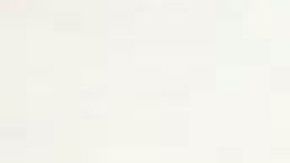 El vuelo llegó procedente de Panamá.