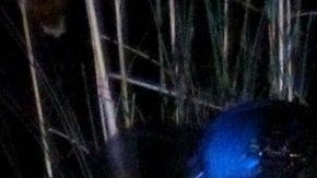 El Vic, el único del Cártel de Sinaloa que burló al Mencho y los gobiernos de México y EE.UU.