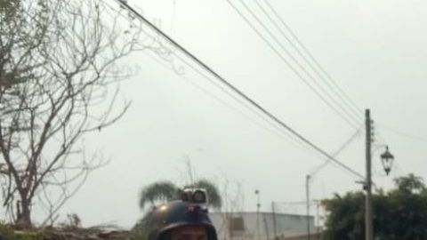 Escena crimen México