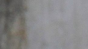 MEXICO-VIOLENCE-CRIME-MASS GRAVE
Soldiers secure the area where a clandestine mass grave was discovered at Lomas del Vergel in the community of Zapopan, Jalisco state, Mexico, on January 16, 2020. - Nearly 2,500 murders were reported between January and November in Jalisco --  a state hard-hit by violence linked to organized crime -- state authorities have said. (Photo by Ulises Ruiz / AFP) (Photo by ULISES RUIZ/AFP via Getty Images)