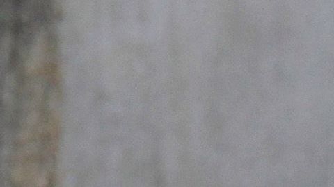 MEXICO-VIOLENCE-CRIME-MASS GRAVE
Soldiers secure the area where a clandestine mass grave was discovered at Lomas del Vergel in the community of Zapopan, Jalisco state, Mexico, on January 16, 2020. - Nearly 2,500 murders were reported between January and November in Jalisco --  a state hard-hit by violence linked to organized crime -- state authorities have said. (Photo by Ulises Ruiz / AFP) (Photo by ULISES RUIZ/AFP via Getty Images)