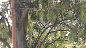 Crecen las muertes por coronavirus en México.