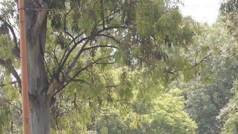 Crecen las muertes por coronavirus en México.