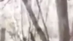 Familia Michoacana y Los Viagras amenazan al CJNG y a político mexicano en video