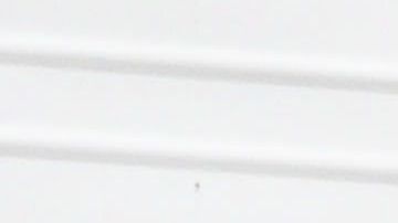 Cuerpos almacenados en camiones de la cadena U-Haul