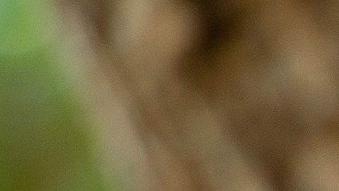 La presentadora de 'Suelta la sopa', de Telemundo, ya publicó el primero de tres libros. Foto: Carolina Sandoval