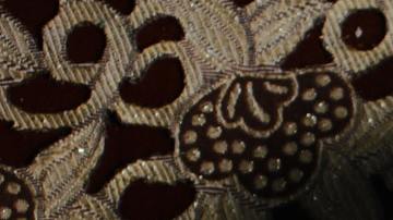 Foto: Antonio Prado / Pexels