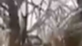 VIDEO: Sicarios muestran apoyo al CJNG y presumen haber matado a rival