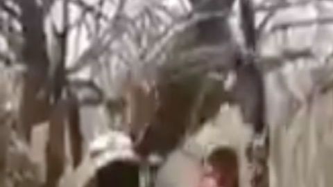 VIDEO: Sicarios muestran apoyo al CJNG y presumen haber matado a rival