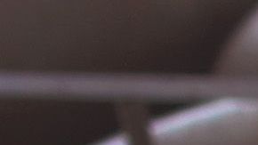 Cerdos en una planta de carne.