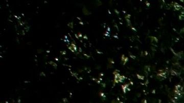 Una reyerta interna del cártel de Sinaloa habría acabado en tres ejecuciones. (Archivo)