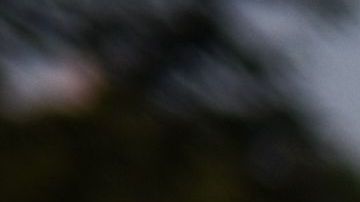 La participación en elecciones es clave.