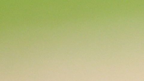 La familia de la pelota cubana lamentó la muerte de Erislery Basulto.