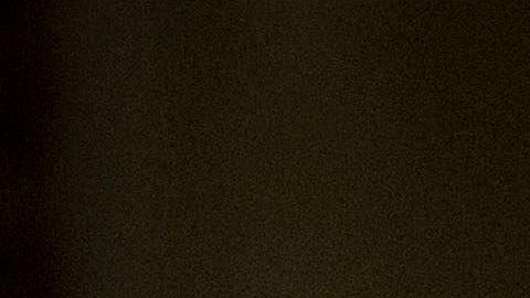 Elon Musk cumplió su palabra y ya comenzó a vender sus lujosas mansiones.